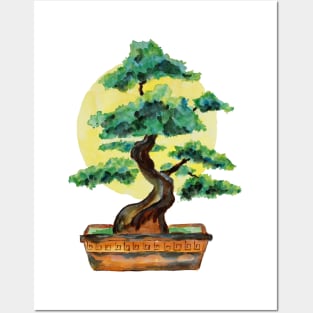 Bonsai Tree Sunshine Posters and Art